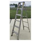 Werner 6 Foot Metal Ladder