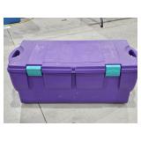 Tucker Storage Tote / Trunk
