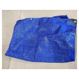 Tarp