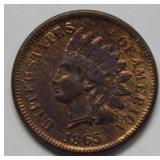 1865 Indian Head Cent   ---  Cleaned