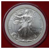 1996 Silver Eagle - Error on Sun