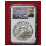2015 Silver Eagle NGC MS69 - First Release