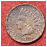 1891 Indian Head Cent