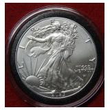 2025 Silver Eagle in Capsule