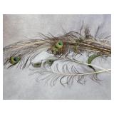 Peacock feathers