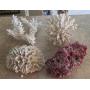 Great Finds Parma Midcentury Bungalow Liquidation Part 1