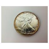 1989 American Silver Eagle One Dollar Coin