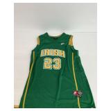 LeBron James St Vincent St Mary Fighting Irish High School Basketball Jersey