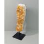 May 20, 2026, Wednesday Online Auction (Red Tags)