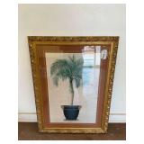Framed Pottted Palm Tree Print