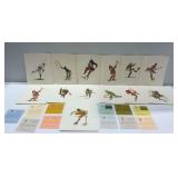 Wausau Paper Mills Sports Prints with Informational Sheets
