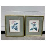 (2) Framed Botanical Rose Prints