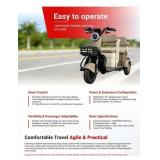 Electric Golf Cart purple- not assembled