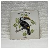Venezuela Tucan Ceramic Tile Art