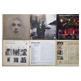 Twelve Vinyl Record Albums