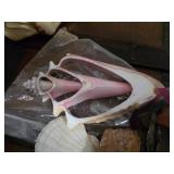 Shells and Rocks Assortment