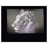 JChapman Signed Lion Profile Canvas 36x24