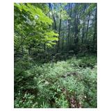 Property 6