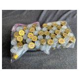 Fletchette Sabot Ammunition