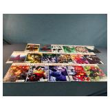 17 - Marvel Ultimate Spider-Man Comic Books