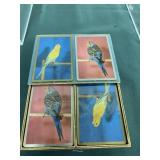 Sealed packs-congress playing cards celluton