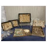 Seashell Collection