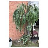 Xtra Large Artificial Willow Tree-Very Heavy