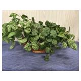 Wicker Basket Floral Arrangement