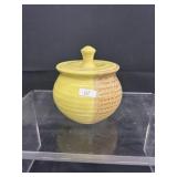Rare Lantern Hill Sunshine Yellow Garlic Keeper