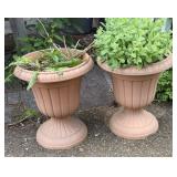 PLASTIC URN STYLE PLANTERS W PERENNIAL IN ONE
