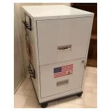 STEELWORKS 2 DRAWER MOBILE LOCKING FILE CABINET