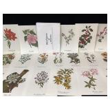 Wild Flowers of America Eighteen Prints