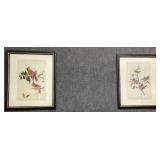 John James Audubon Bird Prints