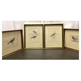 Lot of Four Framed Bird Prints