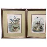 Pair of Prints From The Birds of North America