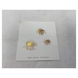 Swarovski Beetle