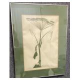 Henry Evans Queen Anne Lace Print