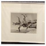 Fallen Tree Kern River Canyon Print by Ansel Adams