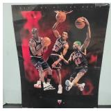 1996 Chicago Bulls Poster
