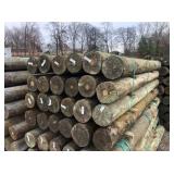 (24) 7” x 8’ TREATED WOOD FENCE POSTS