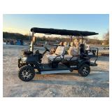 SDLGC100 ELECTRIC GOLF CART SDLGC100 ELECTRIC GOLF CART