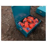 24 RATCHET STRAPS & METAL BOX