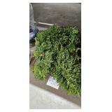 BOXWOOD GARLAND LOT BOXWOOD GARLAND LOT
