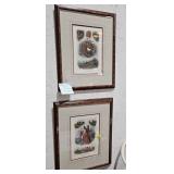 FRAMED ANIMAL PICTURES
