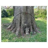 WAGON WHEEL