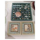 BEACH PICTURE DECOR / SHELLS