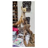 TAXIDERMY MOUNT