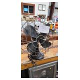 FAN