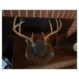 MOUNTED DEER ANTLERS
