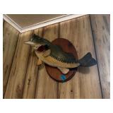 MOUNTED FISH